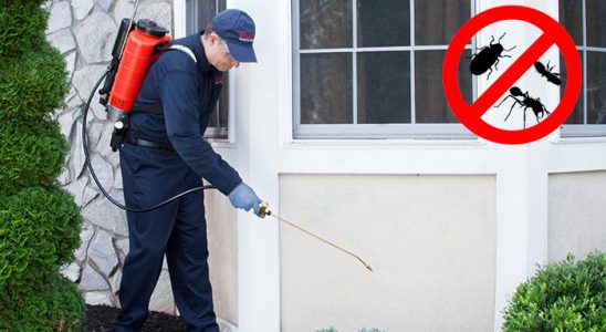 Amasra Gümüşkurt İlaçlama böcek ilaçlama ve haşere kontrolü — ilaclama-tr.com